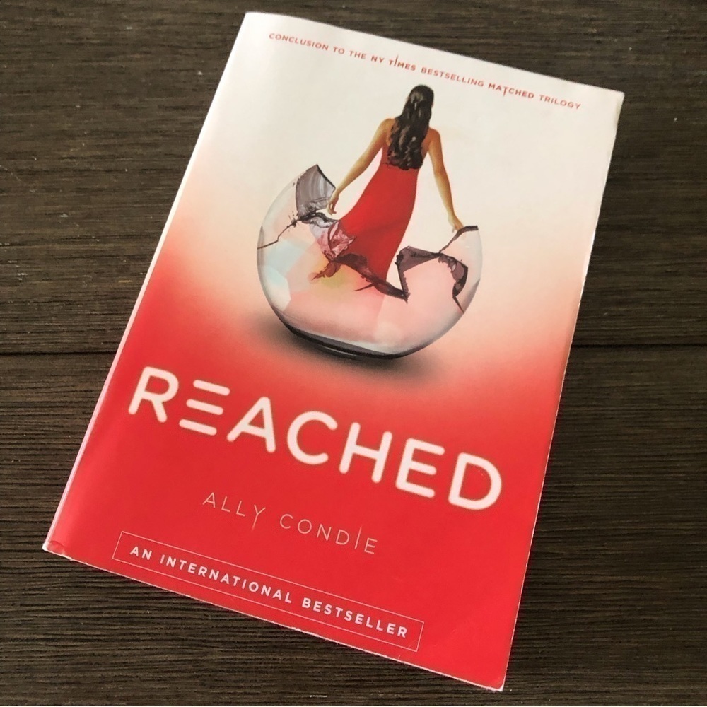 Reached by: Ally Condle paperback book
